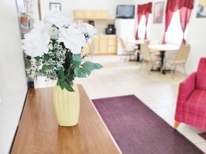Countryside Inn Richmondville - image 4