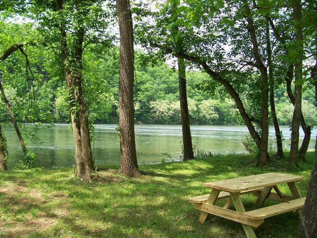 Bear Bluff - image 7