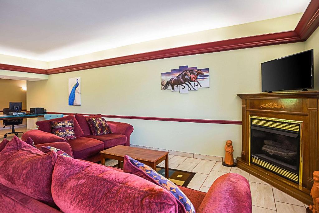 Econo Lodge Inn & Suites Ripley - image 4