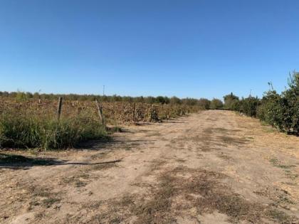 Tentrr - Lagier Ranches Camp - image 4