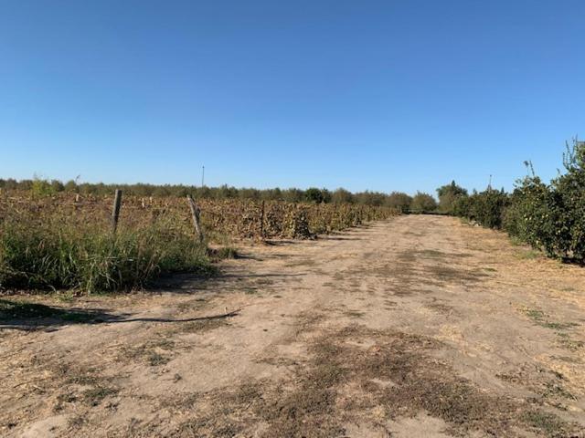 Tentrr - Lagier Ranches Camp - image 4