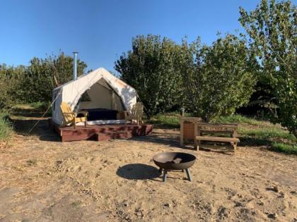 Tentrr - Lagier Ranches Camp - image 7