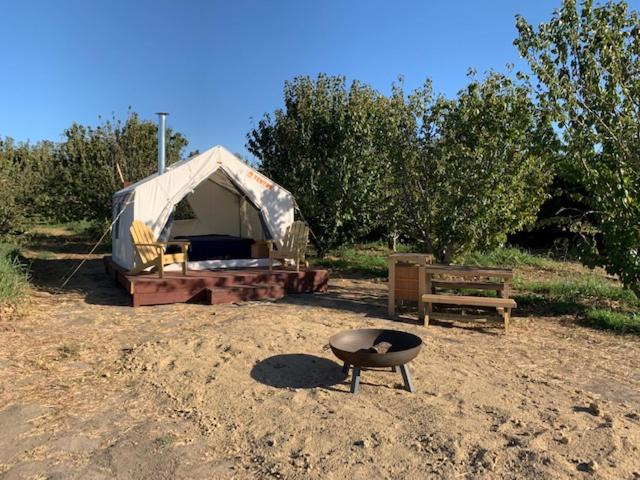 Tentrr - Lagier Ranches Camp - image 7