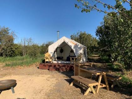 Tentrr - Lagier Ranches Camp - image 9