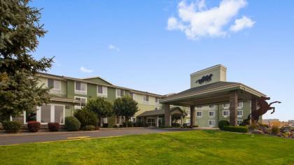 Best Western Bronco Inn - image 7