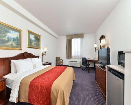 Comfort Inn & Suites Riverton - image 11
