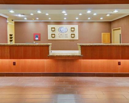 Comfort Suites Roanoke - Fort Worth North - image 12
