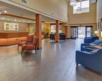 Comfort Suites Roanoke - Fort Worth North - image 3