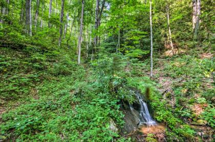 Unique Yellow Creek Valley Home with 360 Mtn Views! - image 7