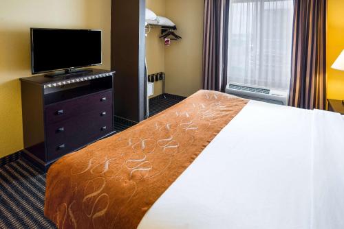 Comfort Suites Rochester - image 4