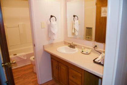 Pendaries Village Lodge - image 8