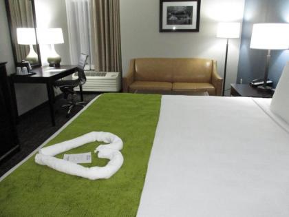 Best Western Rock Hill - image 3