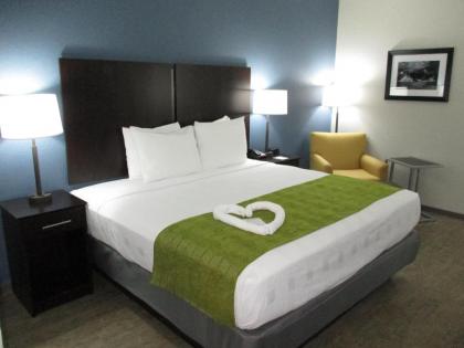 Best Western Rock Hill - image 4