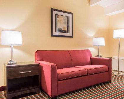 Quality Inn & Suites - Rock Hill - image 15