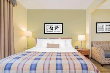 Wingate by Wyndham Rock Hill / Charlotte / Metro Area - image 9