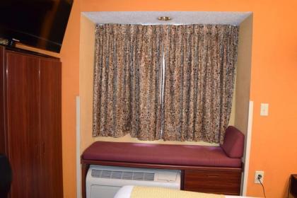 Microtel Inn & Suites by Wyndham Rock Hill/Charlotte Area - image 15