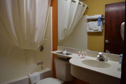 Microtel Inn & Suites by Wyndham Rock Hill/Charlotte Area - image 3
