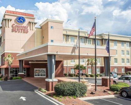 Comfort Suites Rock Hill - image 10
