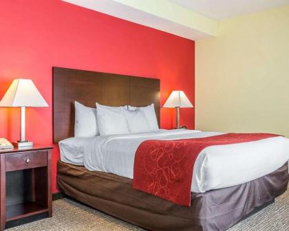 Comfort Suites Rock Hill - image 13