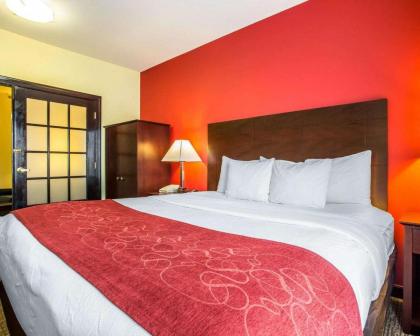 Comfort Suites Rock Hill - image 15