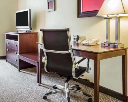 Comfort Suites Rock Hill - image 2