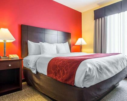Comfort Suites Rock Hill - image 3