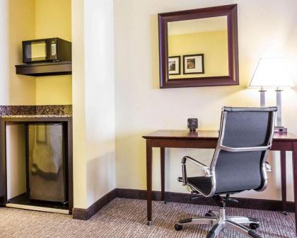 Comfort Suites Rock Hill - image 4