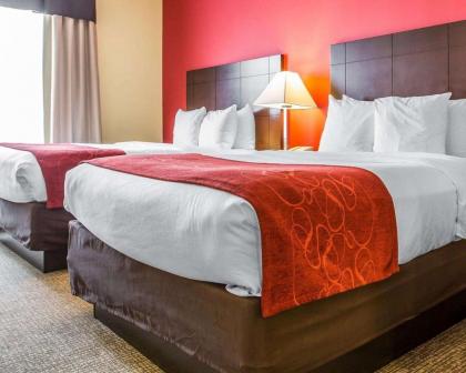Comfort Suites Rock Hill - image 5