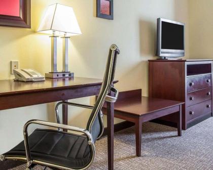 Comfort Suites Rock Hill - image 6