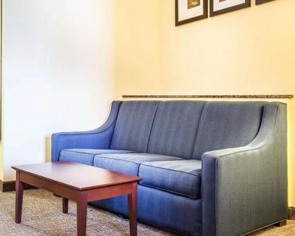 Comfort Suites Rock Hill - image 7
