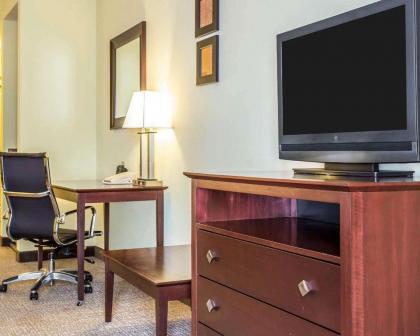 Comfort Suites Rock Hill - image 8