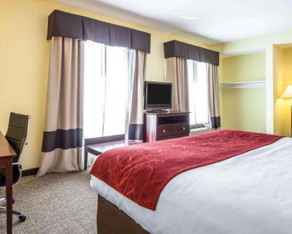 Comfort Suites Rock Hill - image 9