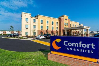 Comfort Inn & Suites - image 11