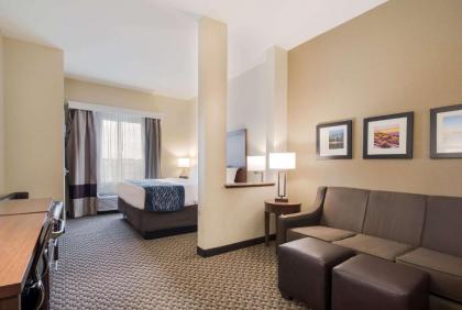 Comfort Inn & Suites - image 12
