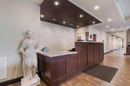 Comfort Inn & Suites - image 13