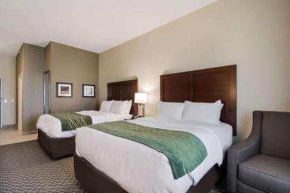 Comfort Inn & Suites - image 4