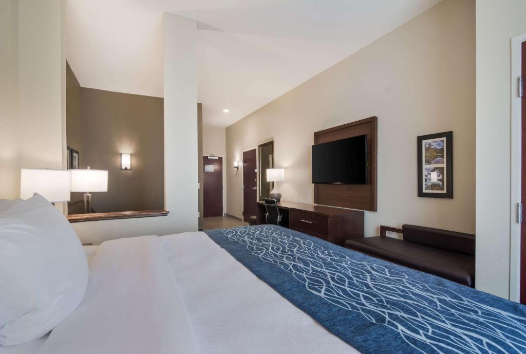 Comfort Inn & Suites - image 7