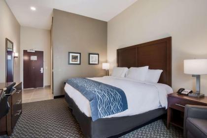 Comfort Inn & Suites - image 9
