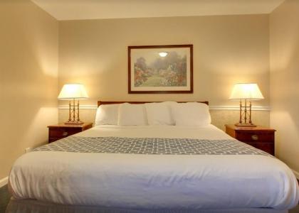 Alpine Inn & Suites Rockford - image 4