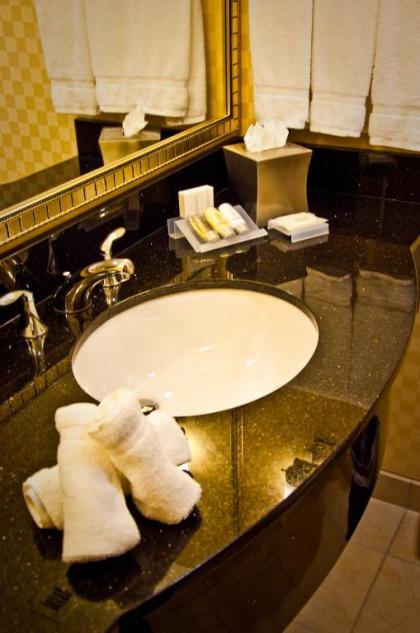 Hilton Garden Inn Rockville - Gaithersburg - image 10