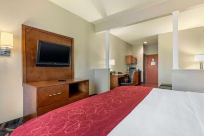 Comfort Suites Rolla - image 11