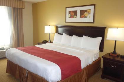 Country Inn & Suites by Radisson Rome GA - image 10