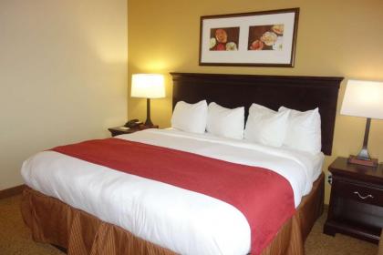 Country Inn & Suites by Radisson Rome GA - image 3