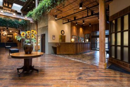 Hawthorn Suites by Wyndham Rome - image 10