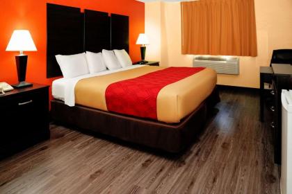 Econo Lodge Rome - image 2