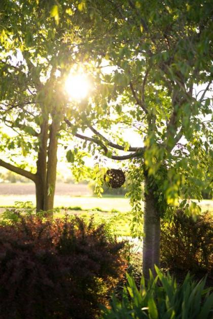 Yale Manor B&B & Yurt Glamping - image 15