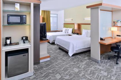 SpringHill Suites by Marriott Detroit - image 13