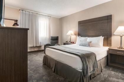 American Inn & Suites Metro Airport - image 9