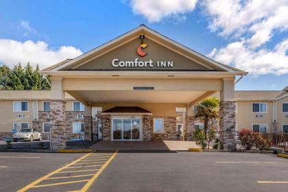 Comfort Inn Roseburg - image 2