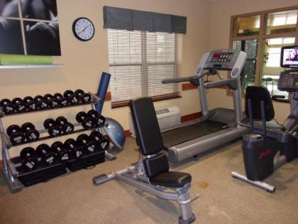 Holiday Inn Express Hotel & Suites Chicago West Roselle an IHG Hotel - image 6